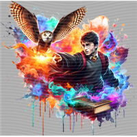 Harry Potter-HP 26